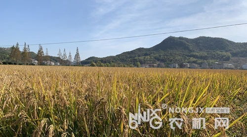 大展宏图 2019农业农村10项新装备之农产品干燥机械