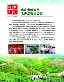 高品质农产品矢量图免费下载指南——千图网13657126素材详解
