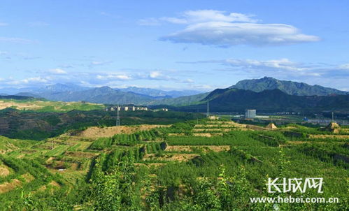 河北乾元农业公司香梨获国家绿色食品认证，区域农业品牌再添新活力